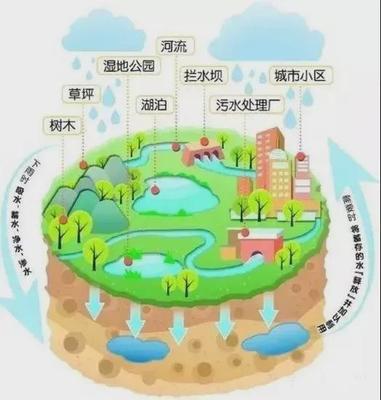 四川唯一，瀘州市再添一張城市“新名片” 海綿城市如何重塑自然生態系統保護管理？